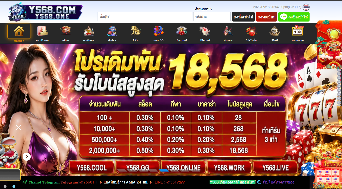 kt5558